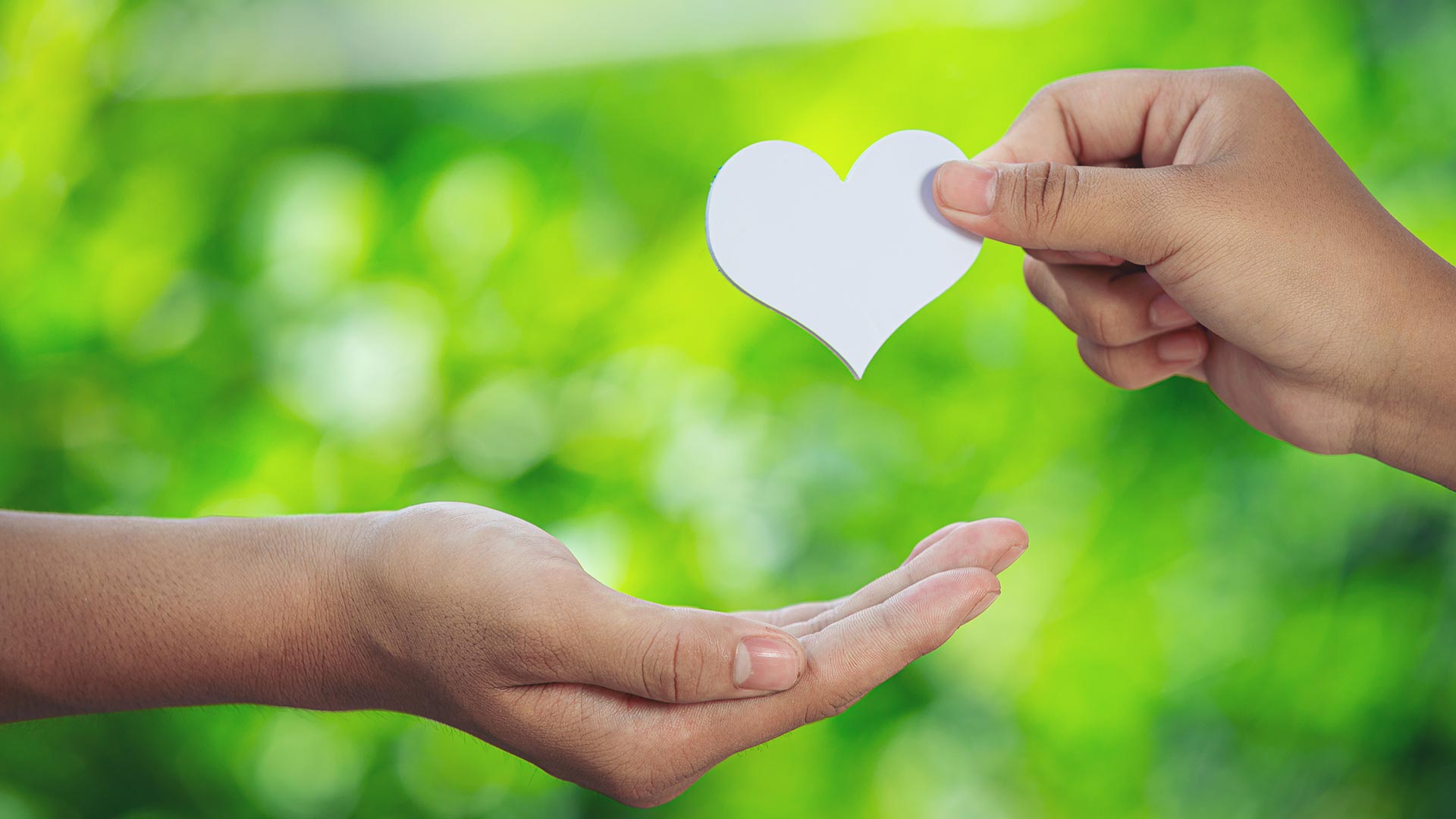 Dona il tuo 5x1000 o fai una donazione libera